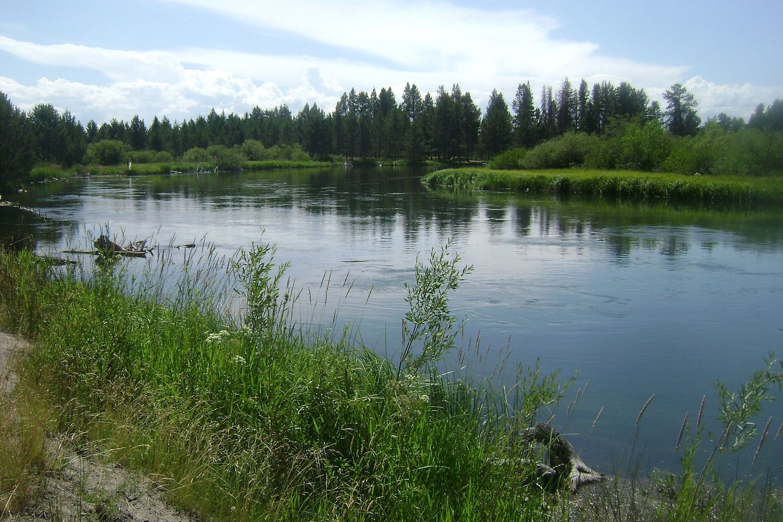 The Deschutes River at Sunriver, smooth and wide between grassy banks and pines