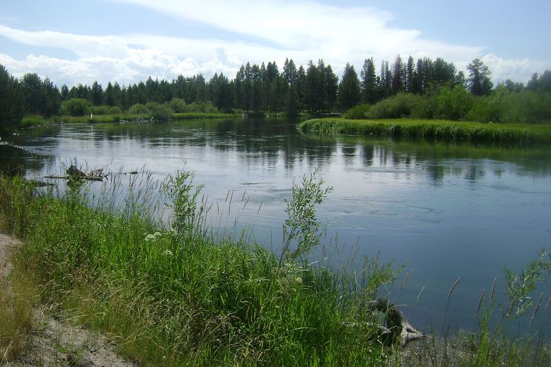 The Deschutes River at Sunriver, smooth and wide between grassy banks and pines