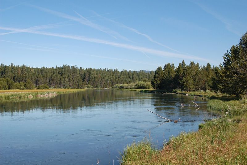 Blue Deschutes River bending past reeds and pines in Sunriver