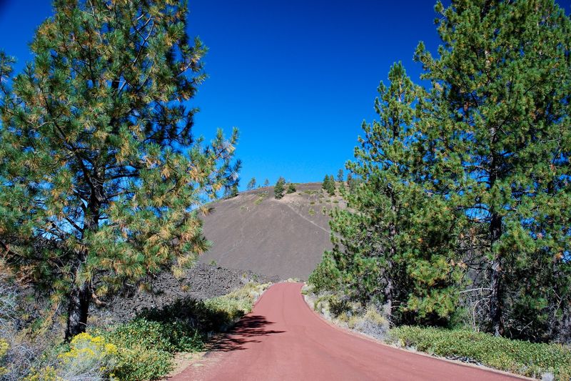Red cinder road curving up the side of Lava Butte between ponderosa pines