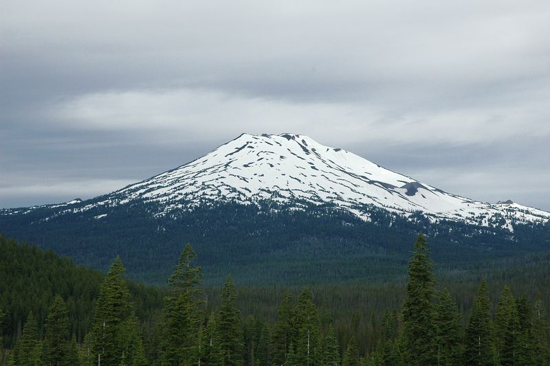 Snow-covered Mount Bachelor rising above a dark pine forest