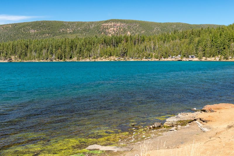 Clear turquoise shallows of Paulina Lake with forested caldera rim beyond